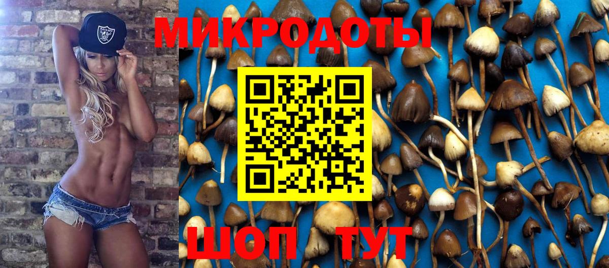 Галлюциногенные грибы Cubensis  Мариинск  Псилоцибиновые грибы Psilocybe 