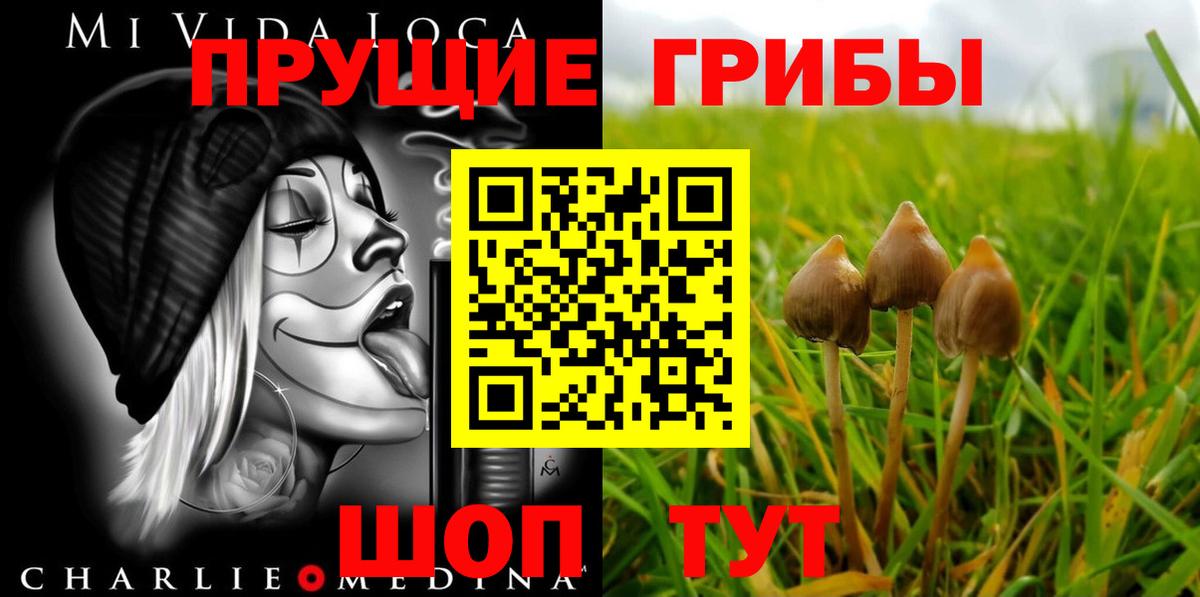 Псилоцибиновые грибы MAGIC MUSHROOMS  магазин  наркотиков  Мариинск  Вход с VPN 